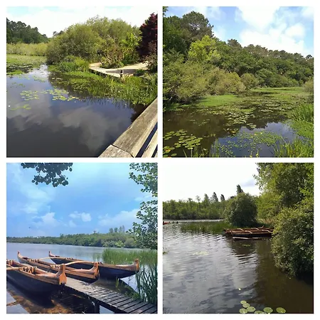 Кемпинг Chalet