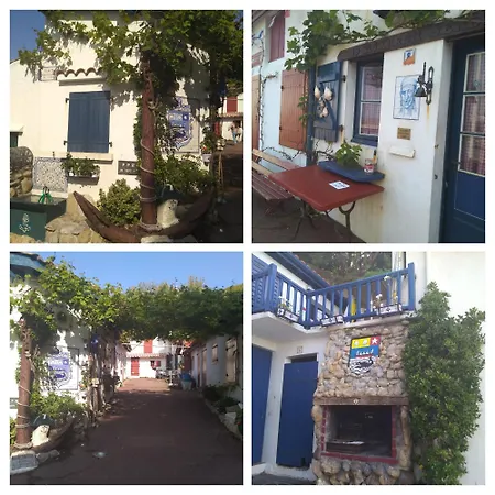 Chalet Campsite *