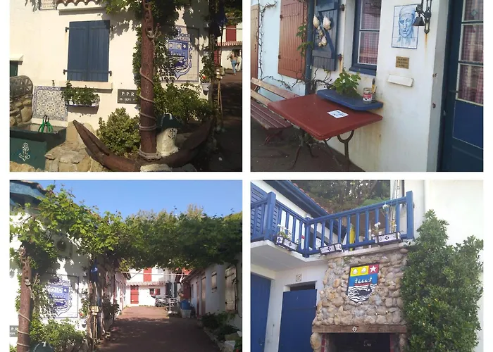 Chalet Kamp alanı *